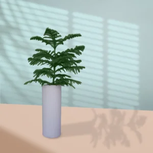 White pot