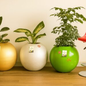 Ball Large Pot