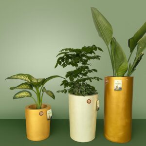 Home Gaurden pot