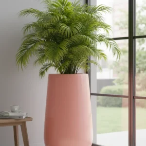Curved Larger Planters