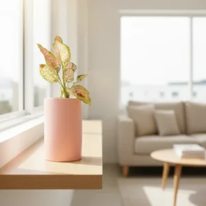 Cylinderical Planters