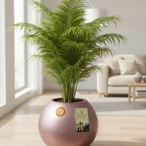 Ball Planter