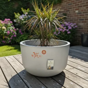 Bowl Planter