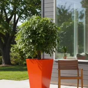 Long Square Planter