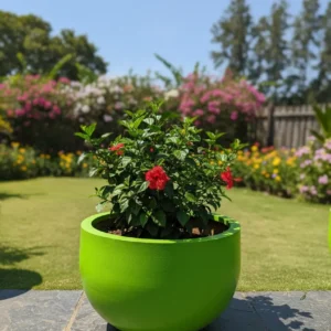 Outdoor Big Planter