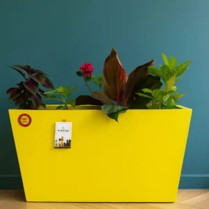 Rectangular Planter