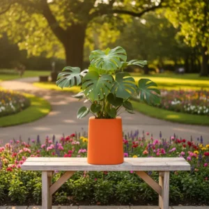 Modern Rounded Square Planter