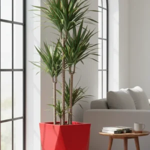 Geometric Faceted Planter