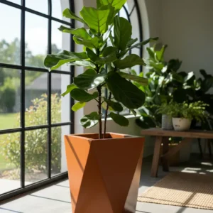 Geometric Facet Planter